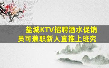 盐城KTV招聘酒水促销员可兼职新人直推上班究